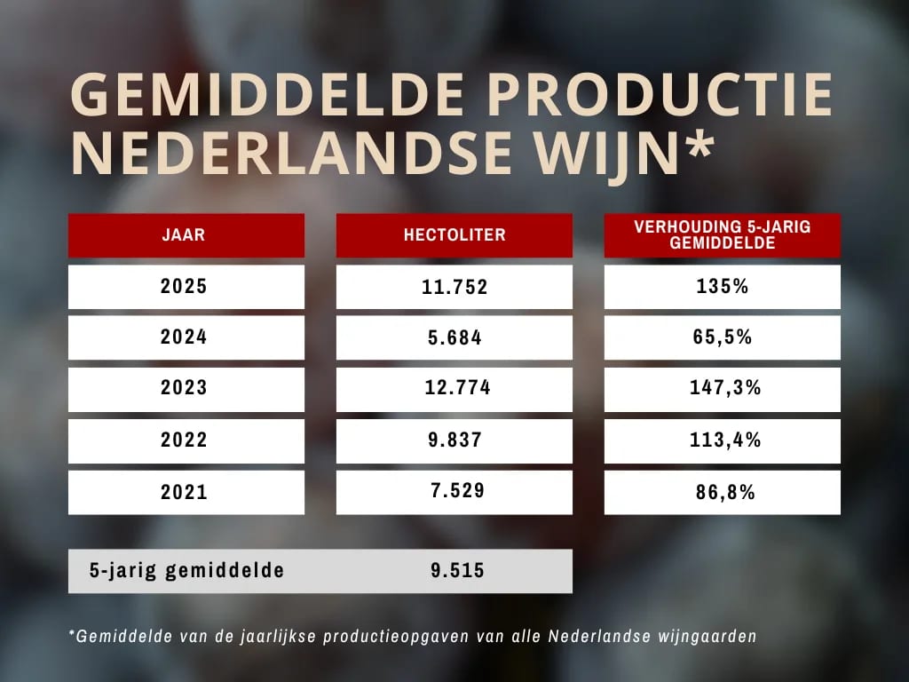 Gemiddelde productie Nederlandse wijn per jaar sinds 2021, met hectoliters en verhouding tot het vijfjaarsgemiddelde.