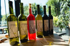 Wijnmakerslunch bij de Dyck met wijnen van Wijndomein Oude Waalstroom, winemaker