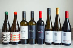 Oostenrijkse wijnen ontdekken: een smaakreis met Puur Oostenrijk, wineshop