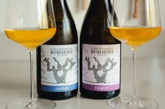 Oliver Weingartner: Hongarije's vulkanische wijnvisionair, winemaker