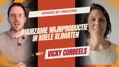 Wijngaard in Nederland of België