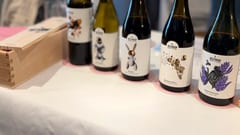 Neleman-tafel 19 met de complete lijn van vijf biologische wijnen uit Valencia