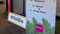 Hal-ingang van ViniBio 2026 met dubbele ViniBio-banners en eerste tafels