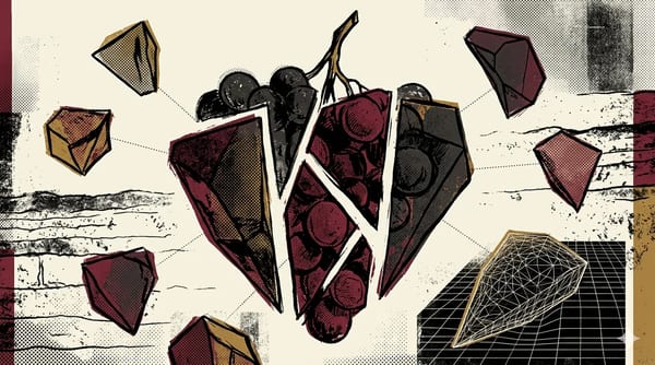Nine grape varieties of Champagne in brutalist illustration, cross-section of a bunch