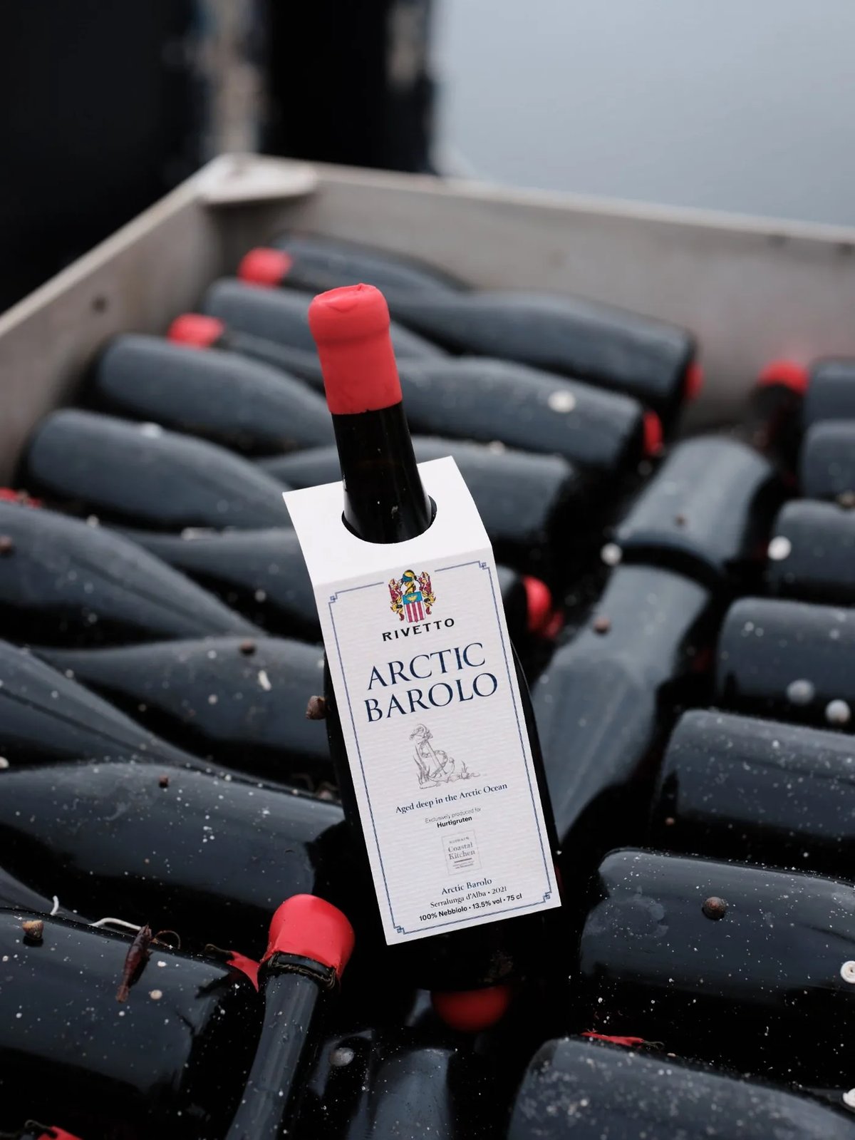Fles met een hanglabel Arctic Barolo van Rivetto, staand tussen natte flessen in een krat