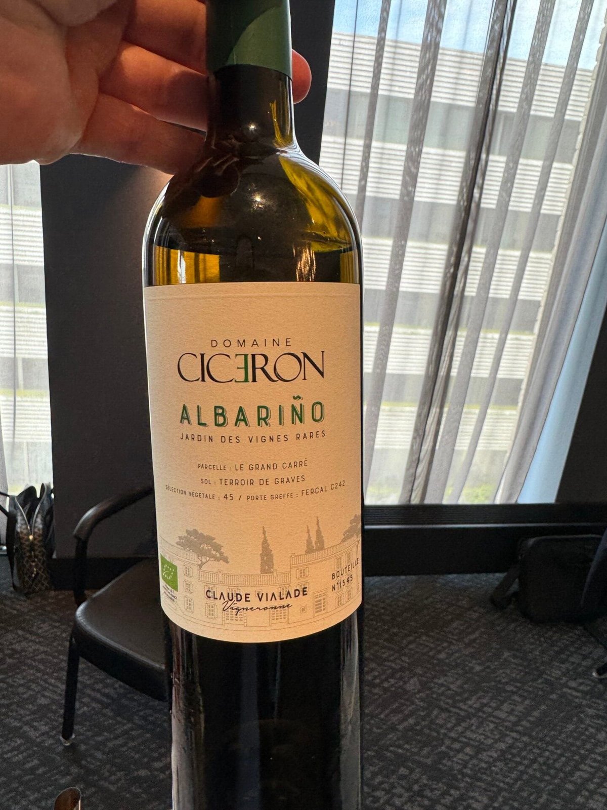 Hand houdt fles Domaine Cicéron Albariño Jardin des Vignes Rares vast bij een raam