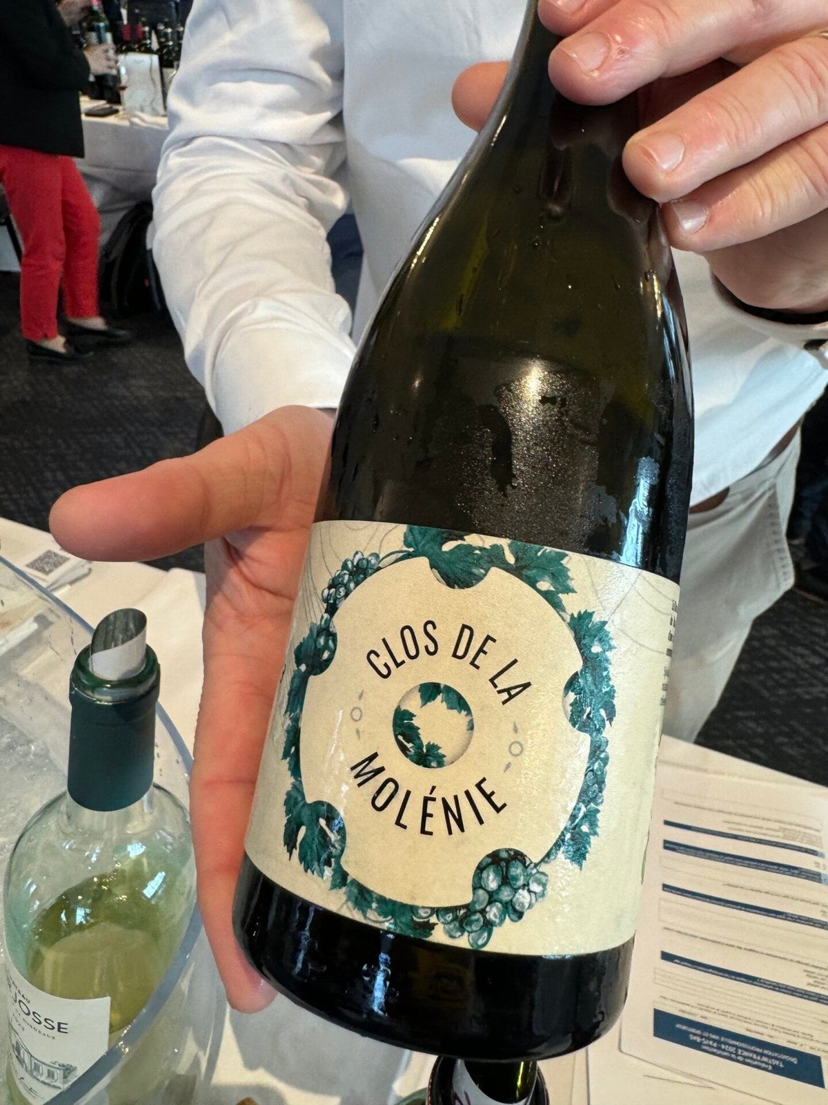 Hand houdt fles Clos de la Molénie witte wijn met druiventros-illustratie op het etiket