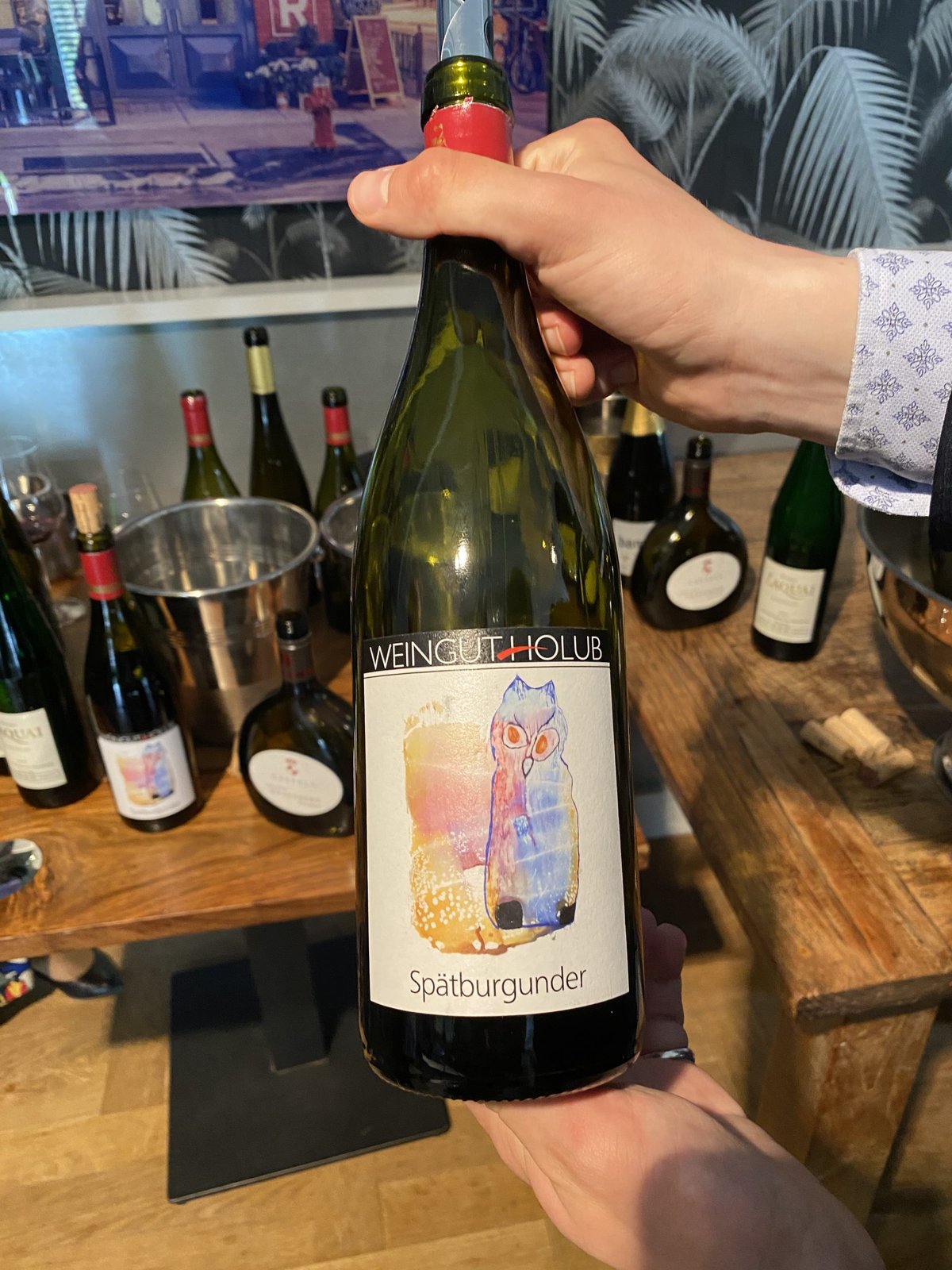 Handen houden een fles Weingut Holub Spätburgunder met uilkunst-etiket vast