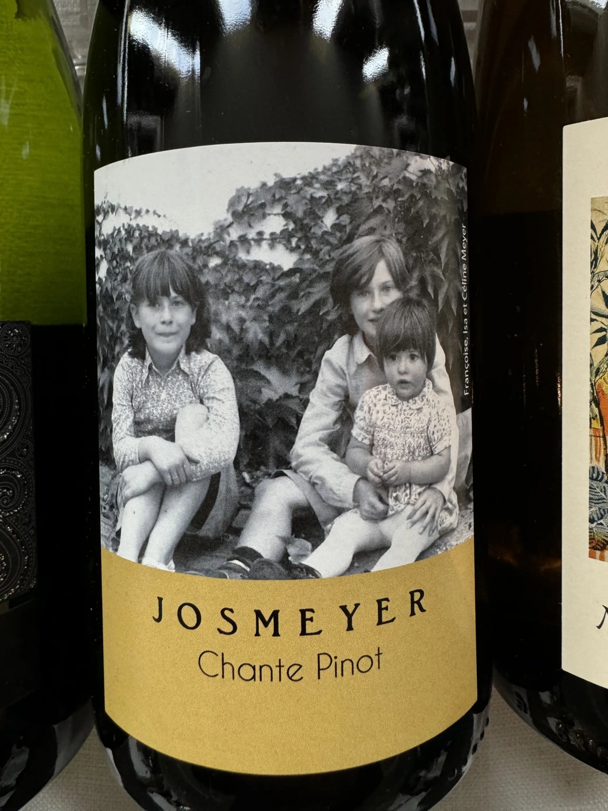 Hand houdt fles Tokaj TR dry 2018 vast met een veerillustratie op het etiket