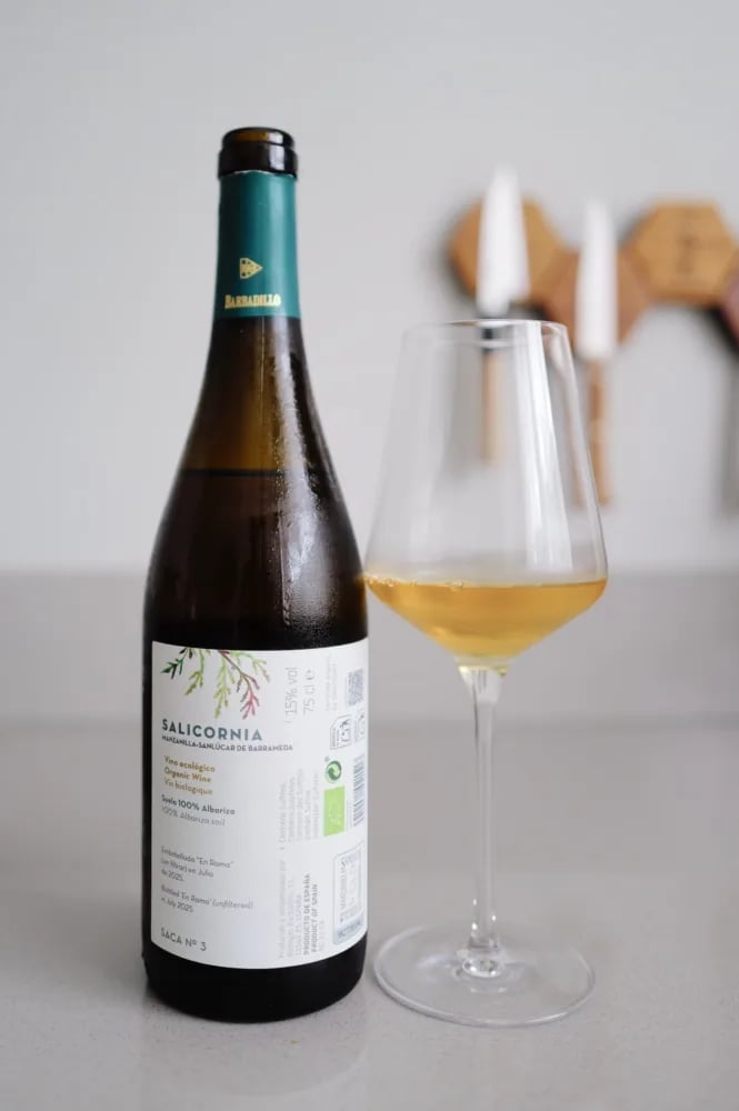 Achteretiket van Barbadillo Salicornia Manzanilla en Rama