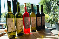 Wijnmakerslunch bij de Dyck met wijnen van Wijndomein Oude Waalstroom, winemaker