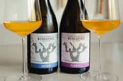 Oliver Weingartner: Hongarije's vulkanische wijnvisionair, winemaker
