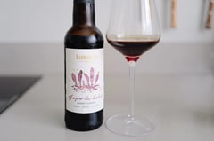 Fles Barbadillo Jopo de Lobo Pedro Ximénez naast een glas donkerrode PX