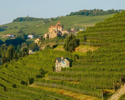 The Cannubi Path among the Cannubi vineyards, with Barolo castle in the background, in a press photo from Michele Chiarlo