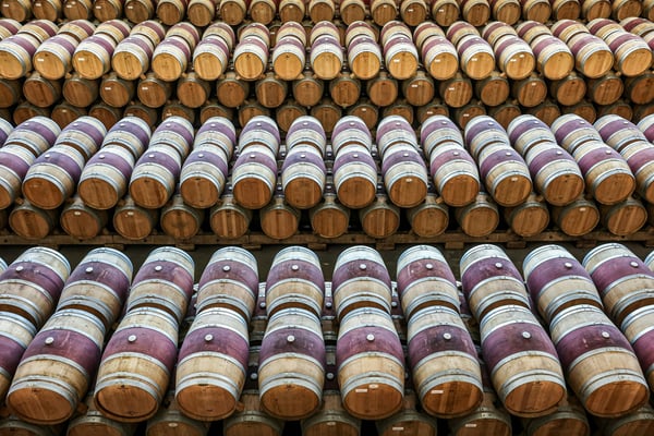 Rioja wijngaard met oude wijnstokken