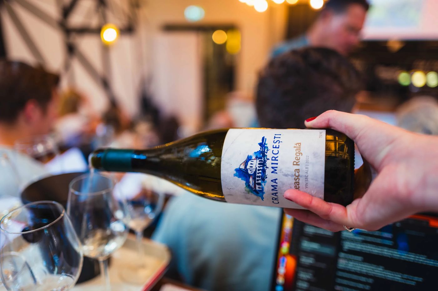 Wijngaard in Moldavië met druivenstokken