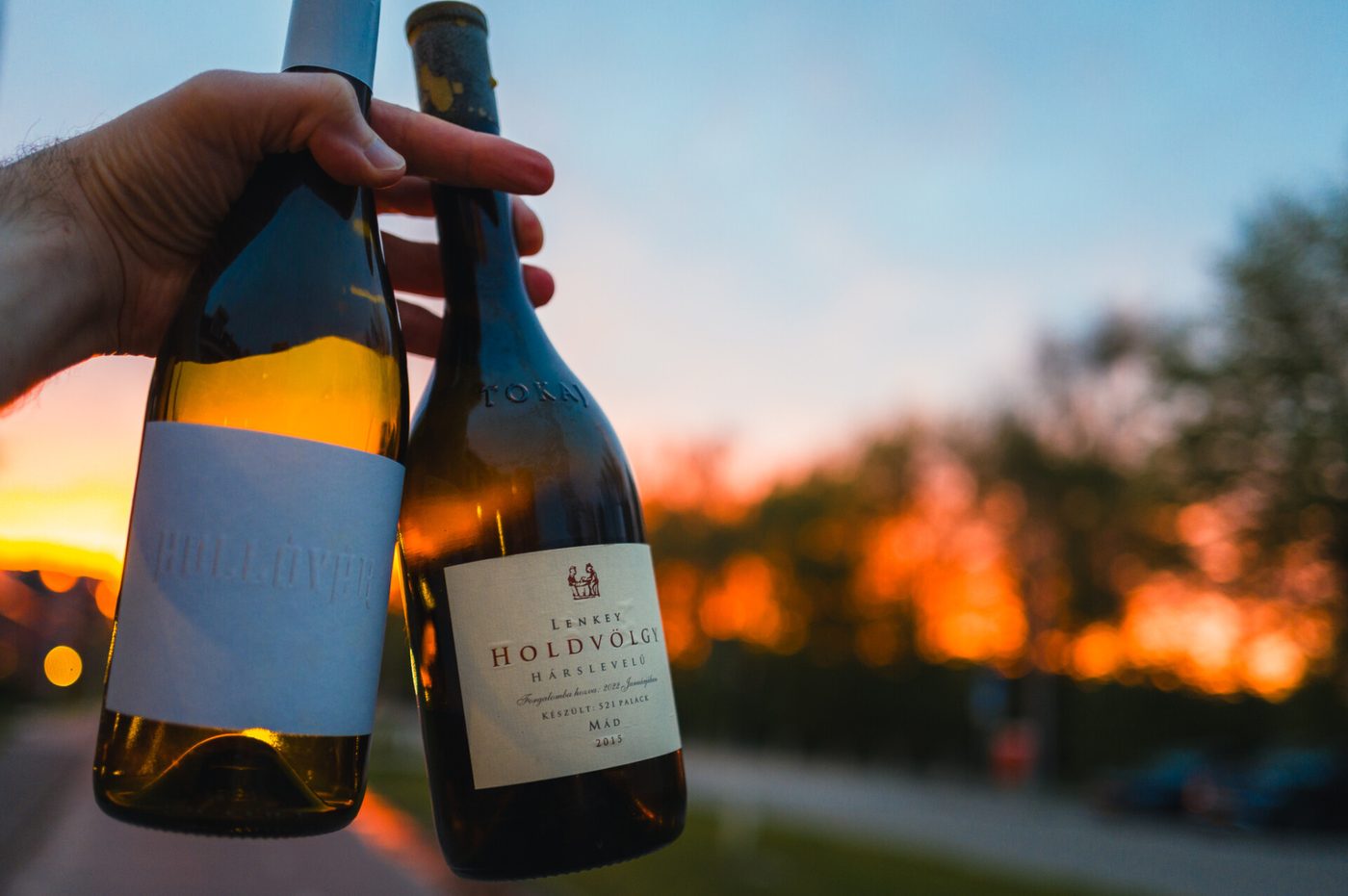 Glas droge Tokaji witte wijn met wijngaarden van de Tokaj-regio in Hongarije op de achtergrond