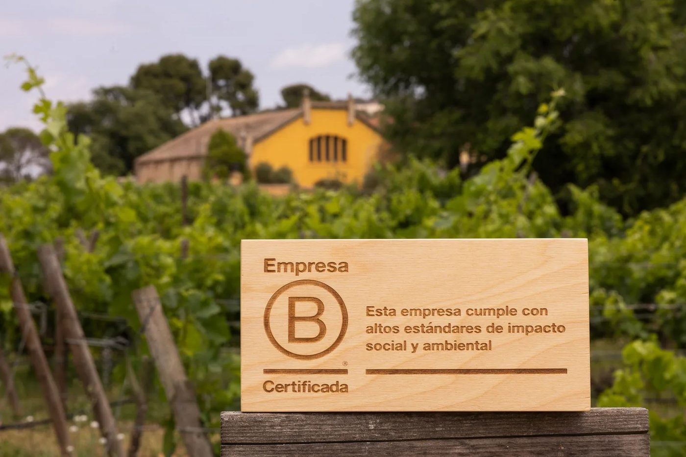 Houten B Corp-plaquette van Familia Torres voor de wijngaarden en de gele bodega van het familiebedrijf in Penedès