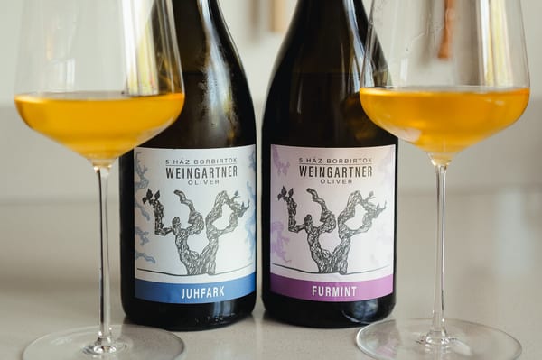 Oliver Weingartner: Hongarije's vulkanische wijnvisionair — winemaker