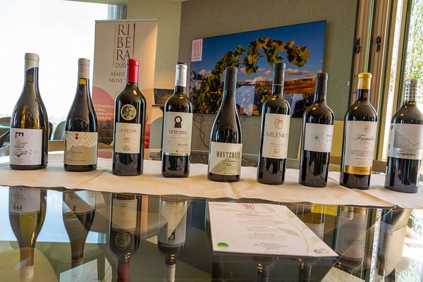 Ribera del Duero wijnen onder leiding van Karel Klosse — events