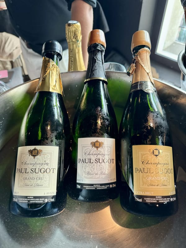 Glazen grower champagne op een proeftafel tijdens Vignerons du Terroir Utrecht