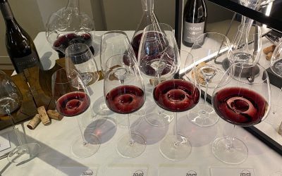 The 5th edition of the new talents tasting of German quality wines