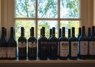 wines of moldova wines overview