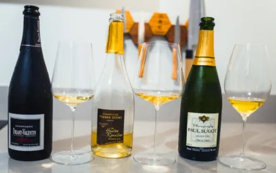 Exploring the World of Vigneron Champagne with Bubbelbroeders: A Unique and Authentic Experience