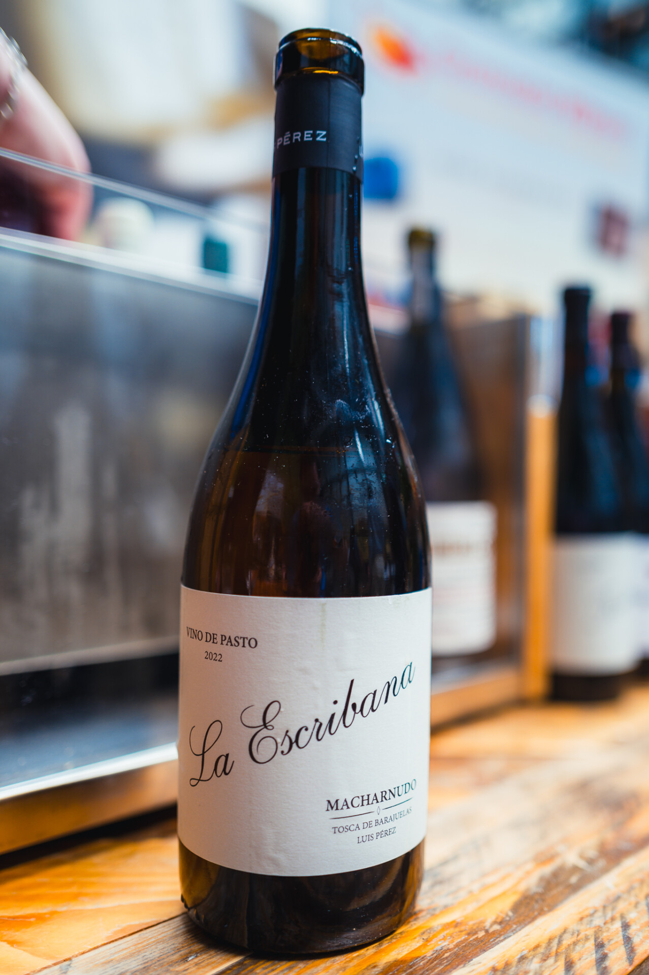 copa-jerez-2024-NL-18