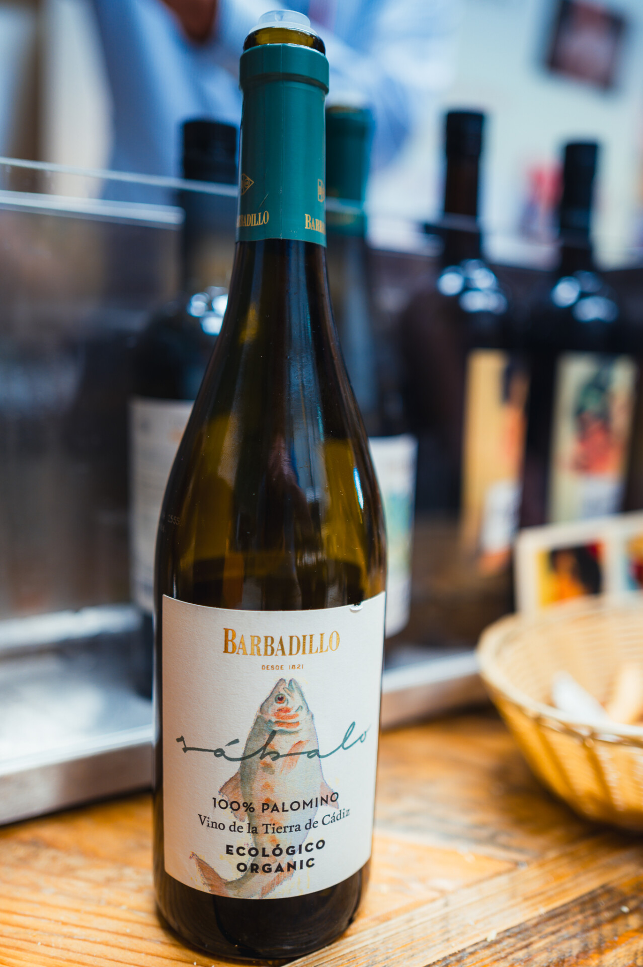 copa-jerez-2024-NL-32