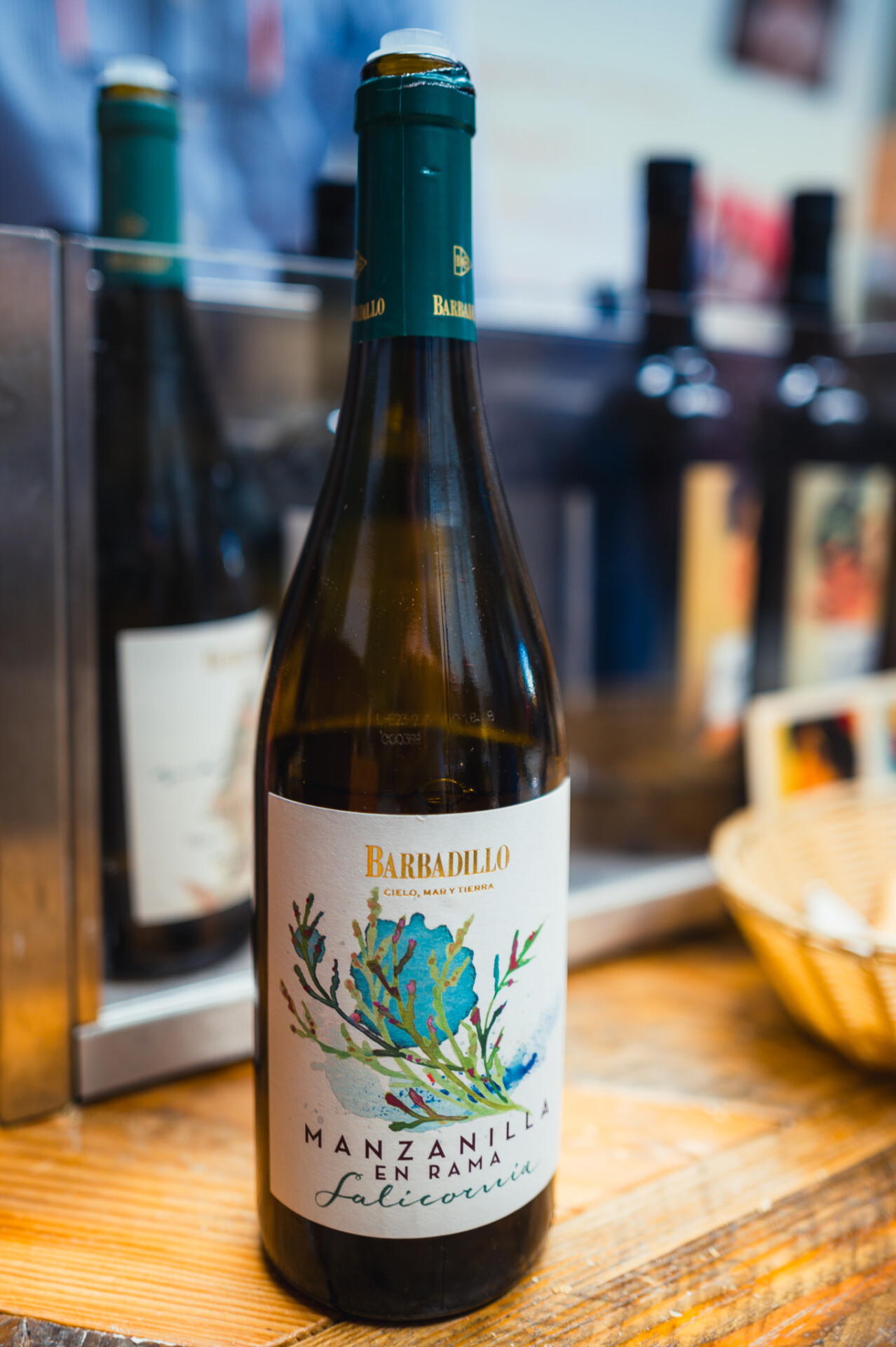 copa-jerez-2024-NL-34