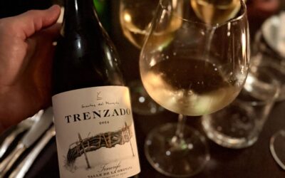 Mediterranean Wine Magic: Inside Toet Amsterdam’s Thoughtful Wine List