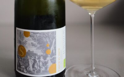 Domaine François Schwach Crémant Blanc de Blancs Review: €18 Organic Sparkles Worth It?